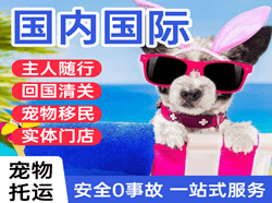 布尔津喀纳斯机场邮寄国际宠物托运 【国